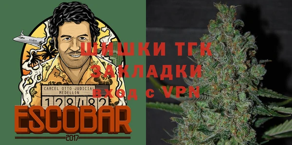 ГАЛЛЮЦИНОГЕННЫЕ ГРИБЫ Липки