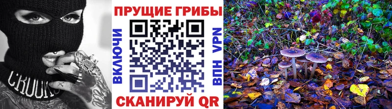Галлюциногенные грибы Cubensis  Реутов 