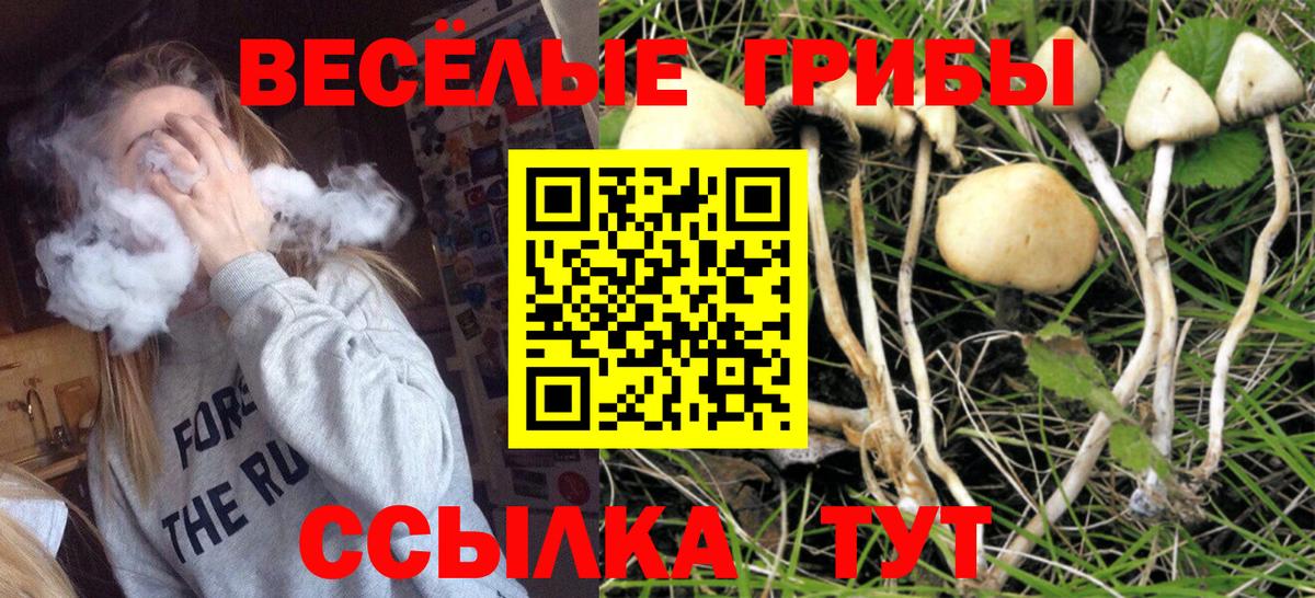 Галлюциногенные грибы мухоморы Реутов