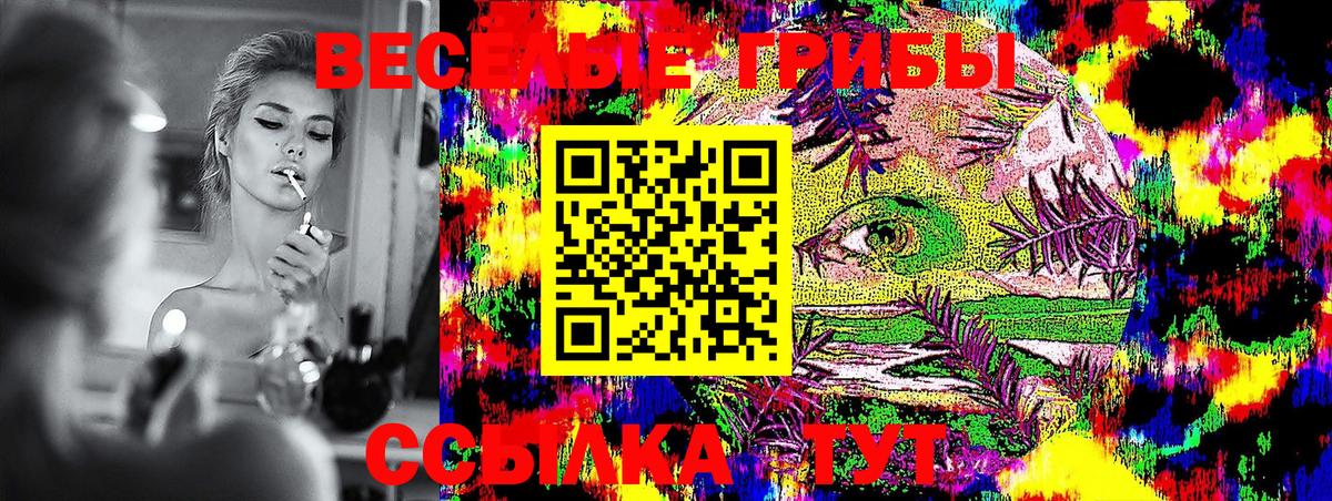 Галлюциногенные грибы GOLDEN TEACHER  Псилоцибиновые грибы Magic Shrooms  Вход с VPN  Реутов 